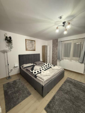 Jokai Apartments Nr8, code entry